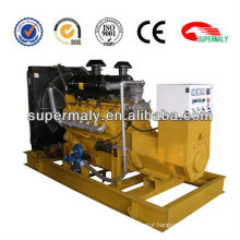 16kw-2000kw global warranty dual fuel generator with lower noise